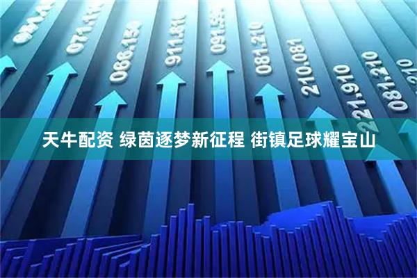 天牛配资 绿茵逐梦新征程 街镇足球耀宝山